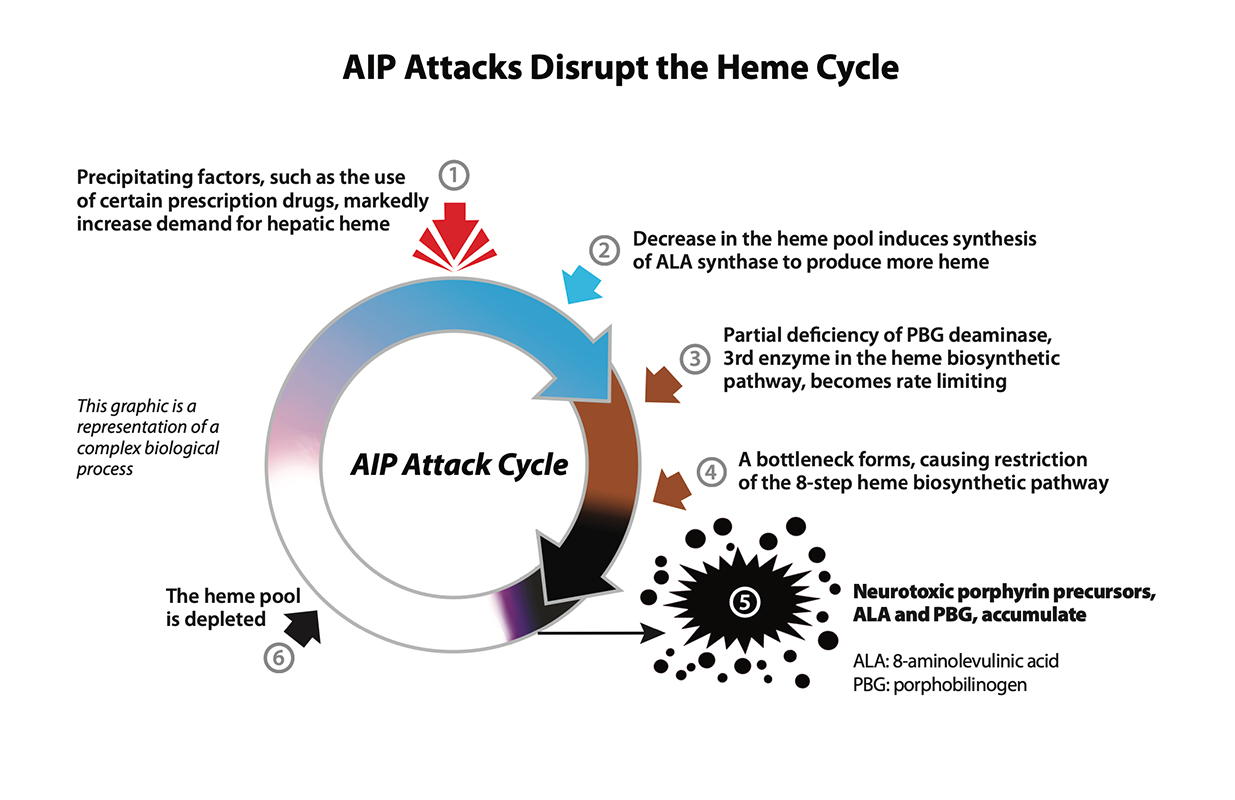 AIP Attack Cycle